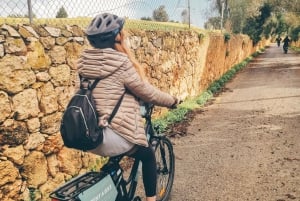 Ferragudo i Carvoeiro: Prywatna wycieczka e-rowerem