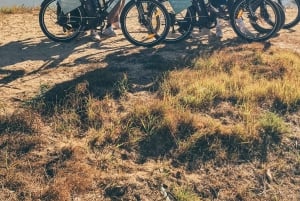 Ferragudo i Carvoeiro: Prywatna wycieczka e-rowerem