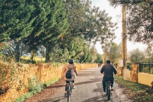 Ferragudo: Mit Fat Bikes stilvoll erkunden