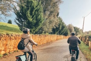Wioska Ferragudo: Przejedź się na rowerze elektrycznym