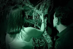FOUR SENSES: Das immersive Erlebnis in der Dunkelheit – Faro