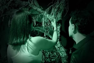 FOUR SENSES: Das immersive Erlebnis in der Dunkelheit – Faro