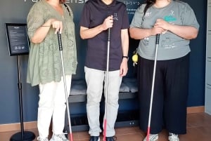 FOUR SENSES: Das immersive Erlebnis in der Dunkelheit – Faro