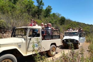 From Albufeira: 4x4 Off-Road Safari & Vineyard Wine Tasting