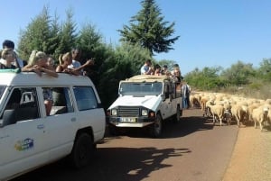 From Albufeira: 4x4 Off-Road Safari & Vineyard Wine Tasting