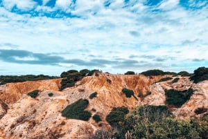 From Albufeira: 7 Hanging Valleys Guided Hike with pick up