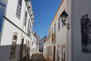 De Albufeira: Passeio pelo Algarve Rural com Almoço