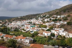 De Albufeira: Passeio pelo Algarve Rural com Almoço