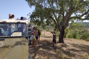 desde Albufeira: Safari en Jeep con Vino al Atardecer en el Algarve
