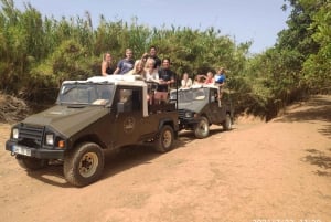 de Albufeira: Algarve Sunset Jeep Safari com vinho