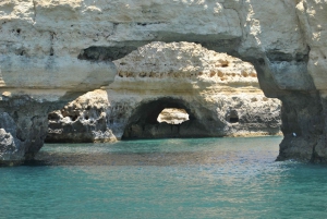 From Albufeira: Benagil and Coastline Boat Tour