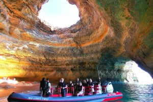 From Albufeira: Benagil Caves and Dolphins Guided Boat Tour