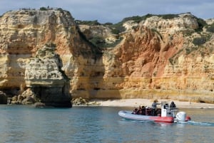 From Albufeira: Benagil Caves and Dolphins Guided Boat Tour