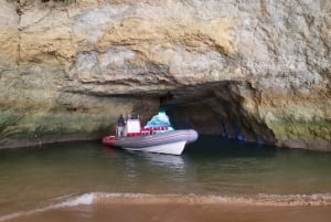 From Albufeira: Benagil Caves and Dolphins Guided Boat Tour