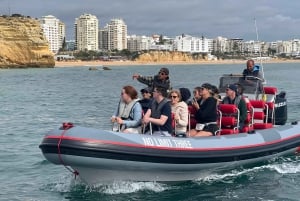 From Albufeira: Benagil Caves and Dolphins Guided Boat Tour