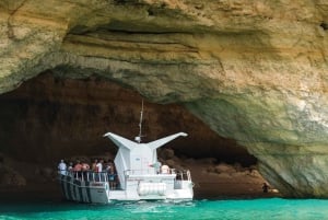 Fra Albufeira: Delfiner og grotter - 2,5 timers båttur
