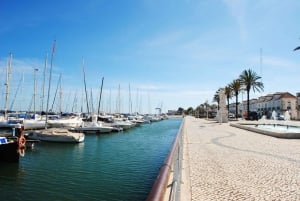 D'Albufeira: visite privée d'une journée dans l'est de l'Algarve