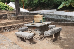 From Albufeira: Excursion to Silves Castle and Monchique