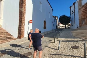Från Albufeira: Utflykt till slottet Silves och Monchique