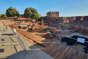 Fra Albufeira: Udflugt til slottet Silves og Monchique