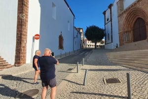 Fra Albufeira: Udflugt til slottet Silves og Monchique
