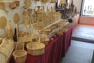 Fra Albufeira: Udflugt til slottet Silves og Monchique