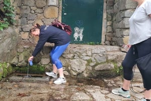 Fra Albufeira: Udflugt til slottet Silves og Monchique