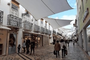 Från Albufeira: Heldagstur till Algarve Easterns finaste platser