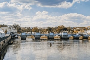 Från Albufeira: Heldagstur till Algarve Easterns finaste platser