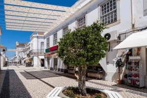 Från Albufeira: Heldagstur till Algarve Easterns finaste platser