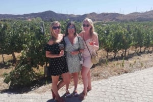 From Albufeira: Full-Day Wine Tasting Tour with a Guide