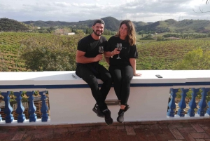 From Albufeira: Full-Day Wine Tasting Tour with a Guide