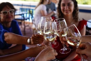 Från Albufeira: Heldags vinprovningstur med guide