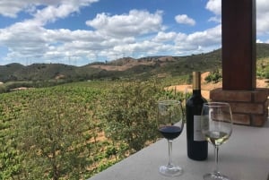 Depuis Albufeira : Visite d'une jounée de dégustation de vins avec un guide