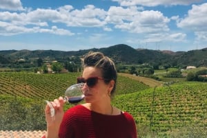Vanuit Albufeira: Dagvullende wijnproeverij tour met gids
