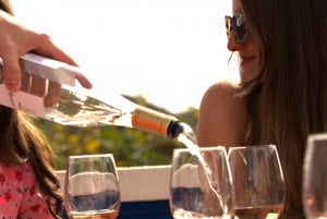 Fra Albufeira: Heldagstur med vinsmaking med guide