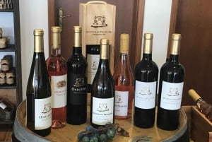 De Albufeira: Excursão de 1 dia para degustação de vinhos com um guia