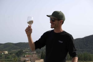 Albufeirasta: Albufeira: Kokopäivän viininmaistelukierros oppaan kanssa