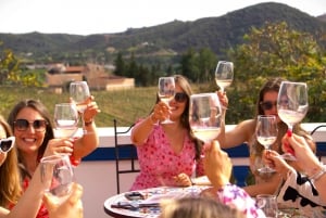 Från Albufeira: Heldags vinprovningstur med guide