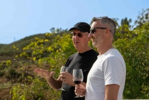 Vanuit Albufeira: Dagvullende wijnproeverij tour met gids