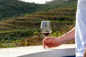 Depuis Albufeira : Visite d'une jounée de dégustation de vins avec un guide