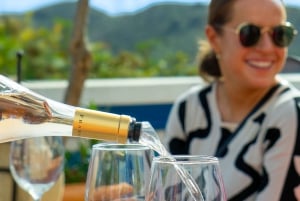 Fra Albufeira: Heldagstur med vinsmaking med guide