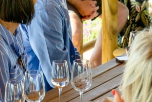 De Albufeira: Excursão de 1 dia para degustação de vinhos com um guia