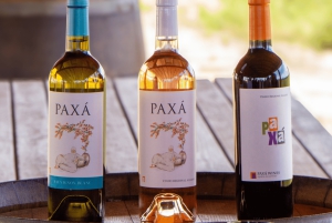 Из Албуфейры: тур с дегустацией вин на целый день с гидом