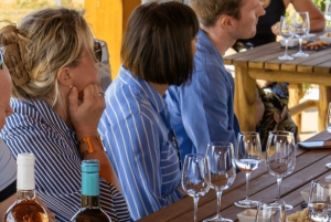 Из Албуфейры: тур с дегустацией вин на целый день с гидом