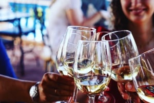 Из Албуфейры: тур с дегустацией вин на целый день с гидом