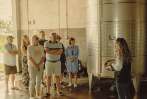 Из Албуфейры: тур с дегустацией вин на целый день с гидом