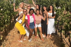 Из Албуфейры: тур с дегустацией вин на целый день с гидом