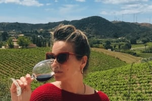 Из Албуфейры: тур с дегустацией вин на целый день с гидом