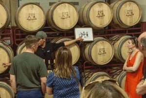 Из Албуфейры: тур с дегустацией вин на целый день с гидом